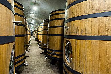 Epic新演示视频：带你从《黑神话》到《巫师4》